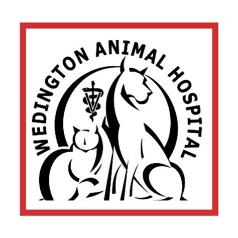 Wedington animal hospital - Here you will find Intake Forms to download and complete which will help save time during your visit.